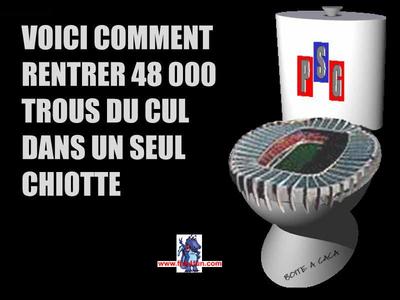 psg o chiot